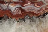 Polished Crazy Lace Agate - Mexico #194135-1